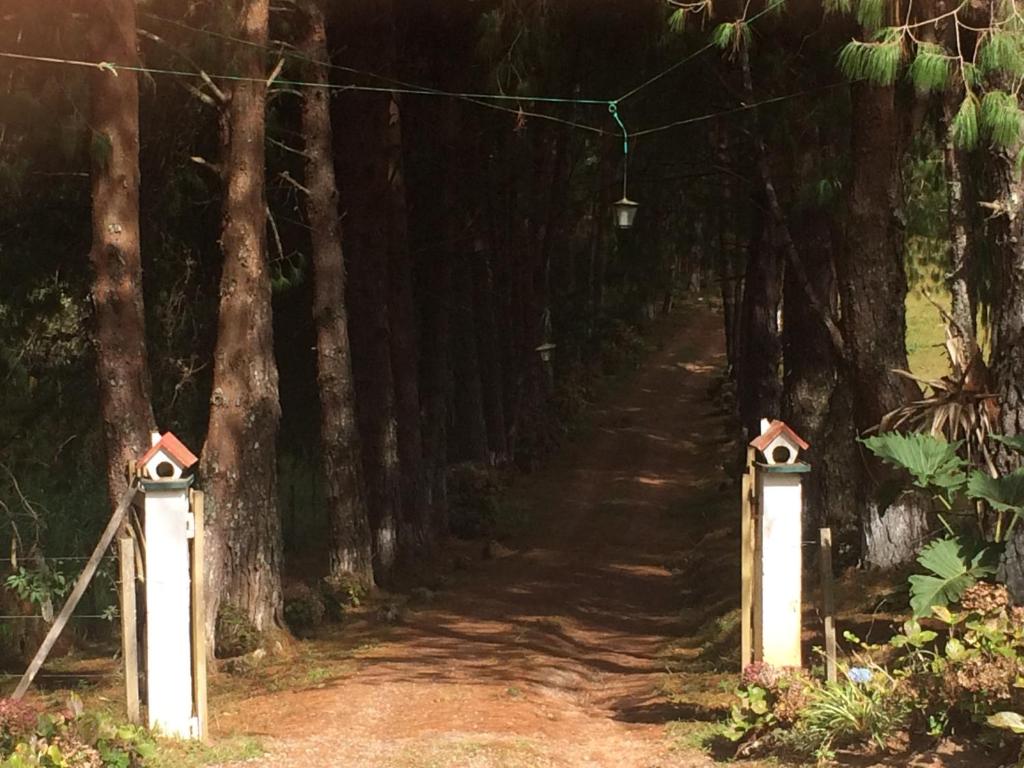  Pousada São Luiz - Monte Verde