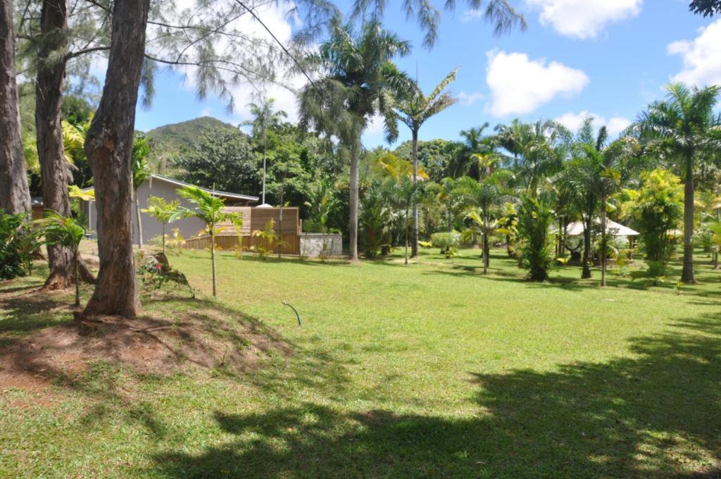 un parc avec des palmiers et une maison dans l'établissement Villa Wodyétia, à Quartier Ravine