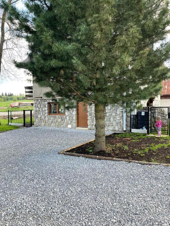 a pine tree in front of a stone house at Na Młace Apartament z widokiem in Witów