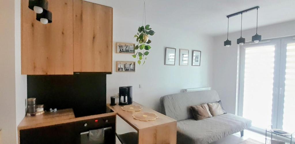 a kitchen with a couch and a table in a room at Apartament Amelia in Zamość