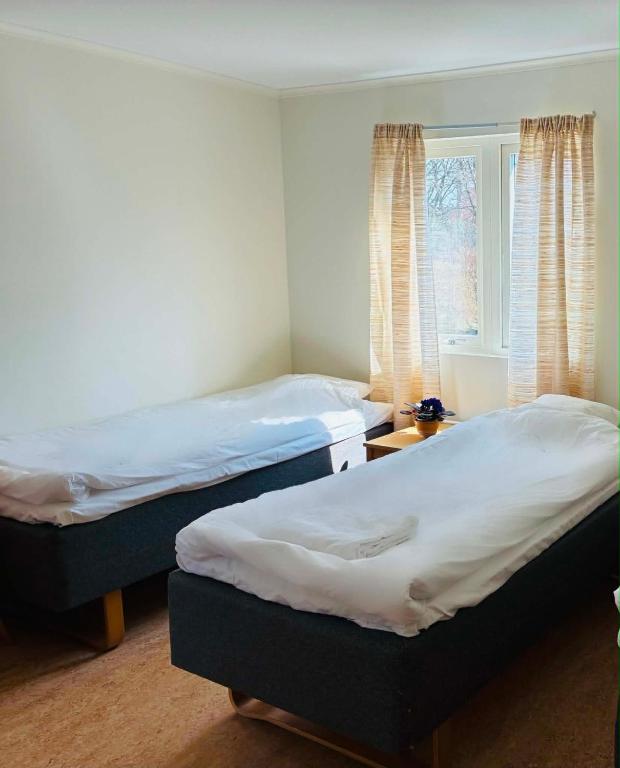 two twin beds in a room with a window at Tofta Strand Bed & Breakfast Familjerum in Visborgsslätt