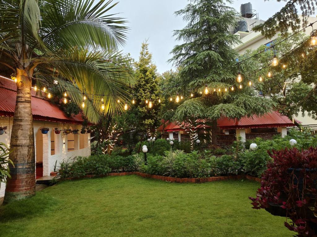 a garden with a lot of lights and a palm tree at Newari chulo ghar in Bhaktapur