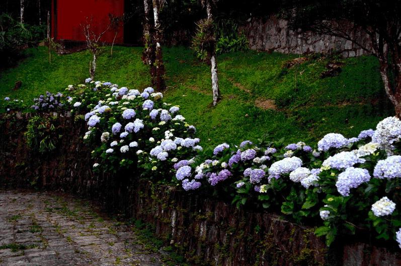  Pousada Romântica Serra da Mata