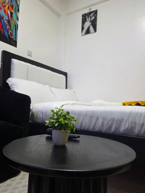 a black table with a potted plant on it in front of a bed at ML STUDIO with Rooftop, Free wifi, Free Parking in Nakuru