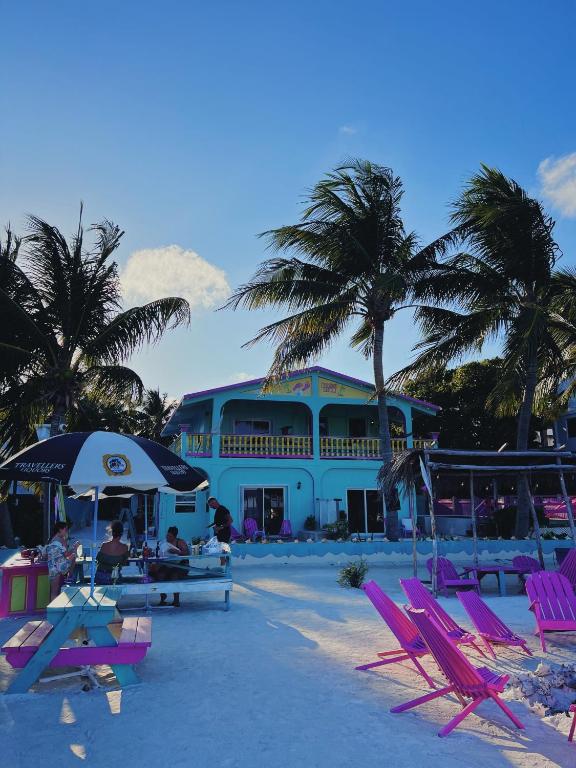 a beach with chairs and palm trees and a blue building at Barefoot Beach Belize in Caye Caulker