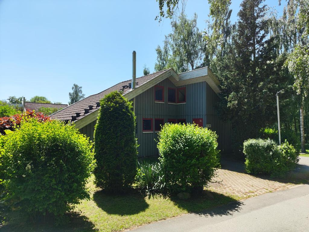 a green house with bushes in front of it at Wildgans 87 in Mirow