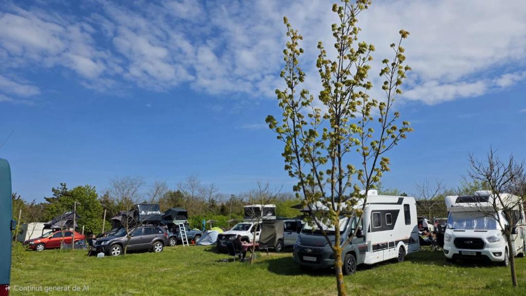 a group of vehicles parked in a field with a tree at Marina Park Camping in Vama Veche