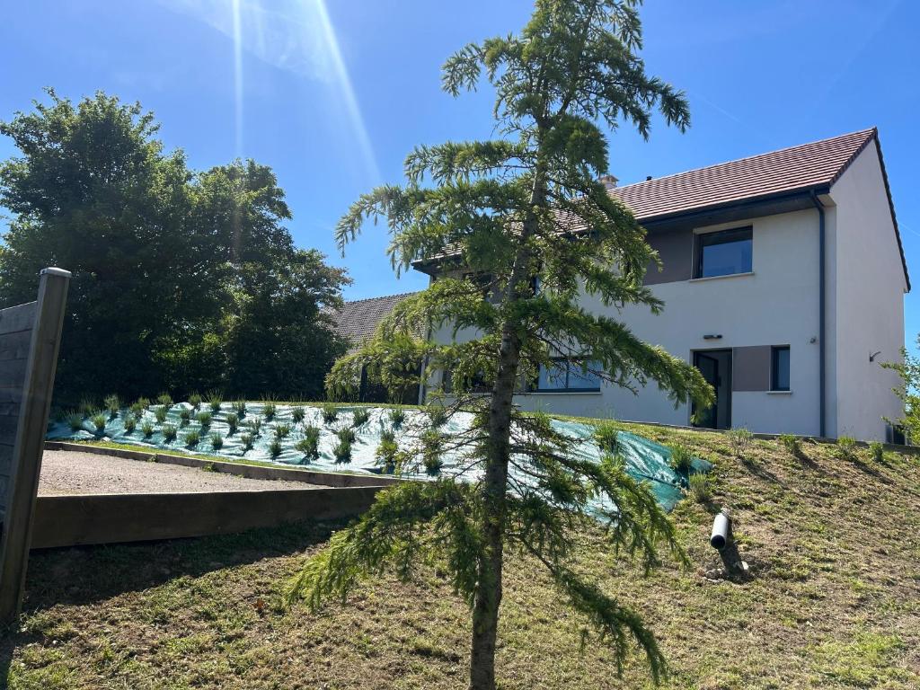 a tree in front of a building with a yard at Le jardin de la mer in Wierre-Effroy