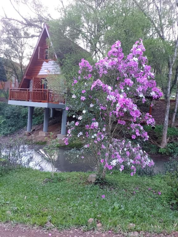 a house with a deck with purple flowers in front of it at Cabanasdoaconchego in São Salvador