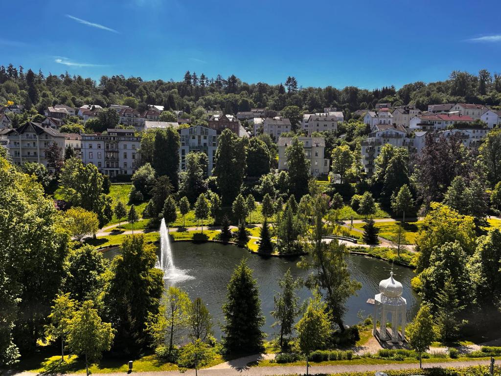 an aerial view of a park with a fountain in a lake at Penthouse am Kurparkweiher in Bad Schwalbach