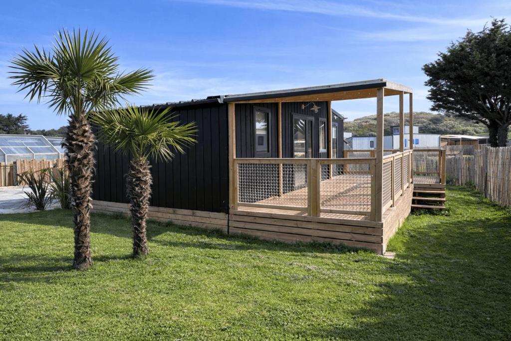 a small wooden house with a palm tree in a yard at Retour de Plage in Saint-Pair-sur-Mer