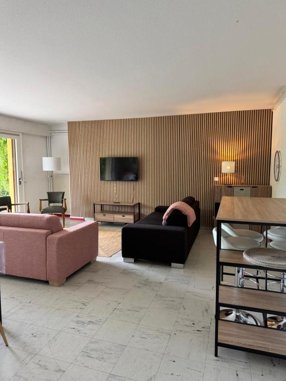 a living room with a couch and a tv at Le Paradis in Belfort