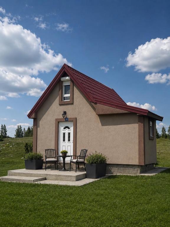 a small house with two chairs and a table at The Meadow cabin in Žabljak