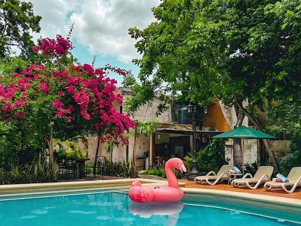a pink swan float in a swimming pool at Casa Santa María Valladolid in Valladolid