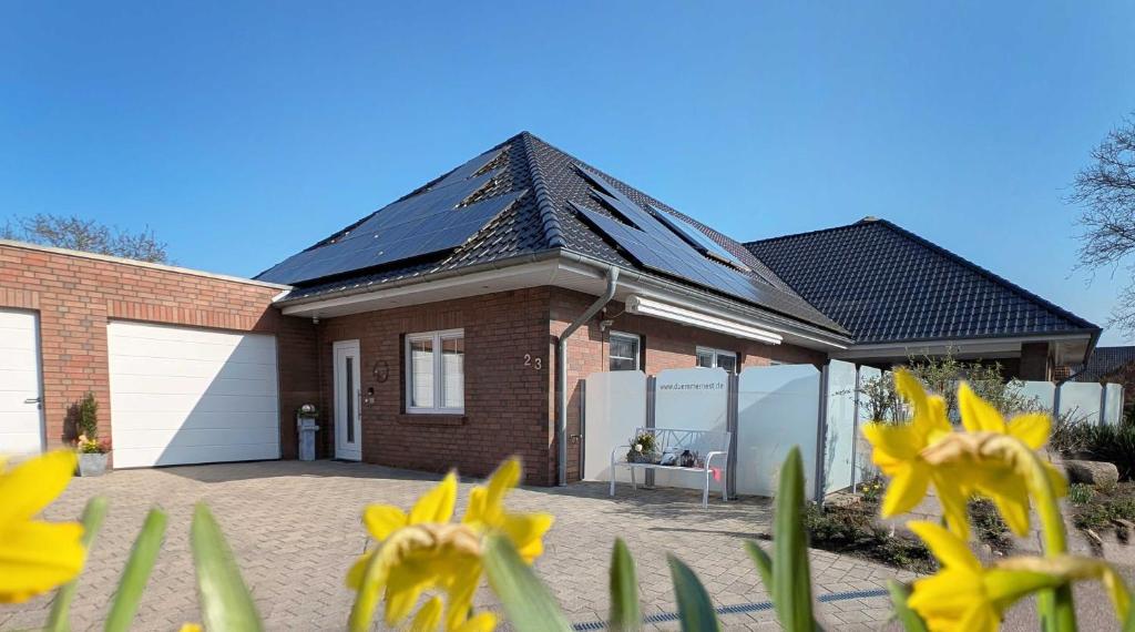 a house with yellow flowers in front of it at Dümmernest in Hüde
