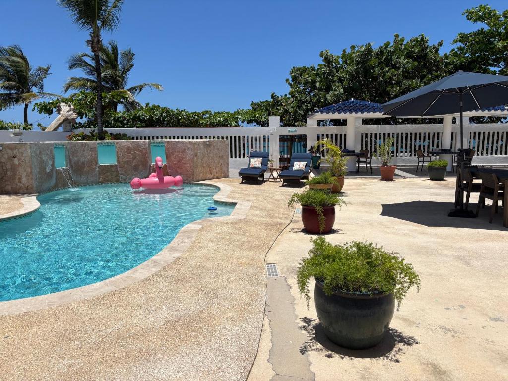 a swimming pool with a pink inflatable at The Beach Guesthouse in Pinones