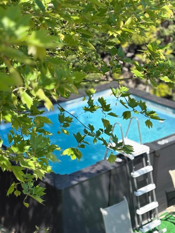 a view of a swimming pool through the leaves of a tree at 2K Eco Villa in Plagiárion