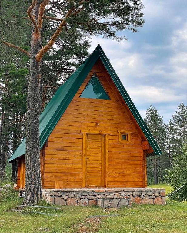 a small wooden cabin with a green roof at AJVA Chalet in Žabljak