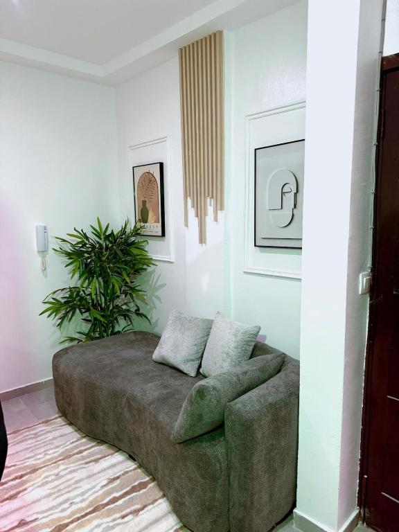 a living room with a couch and a plant at Grand Studio Cosy in Cocody