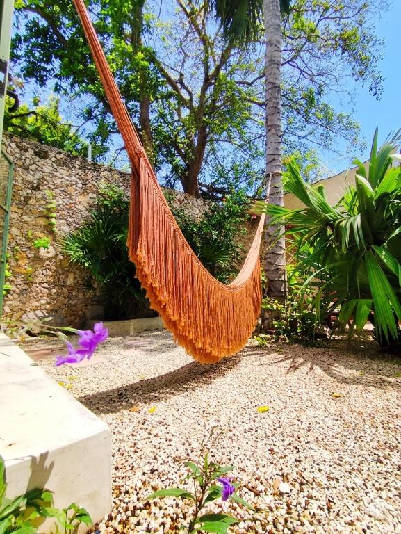 Nuik Casa Tropical photo