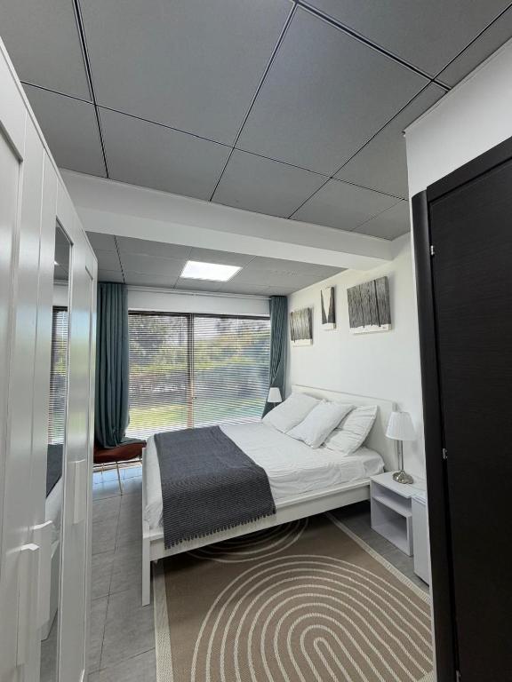a bedroom with a bed and a large window at Casa Théodore in San-Nicolao