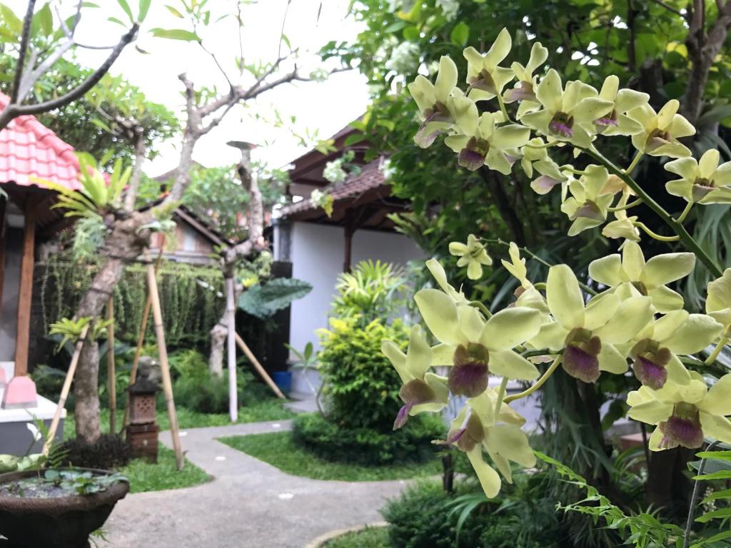 Zahrada ubytování DIMUWA Ubud