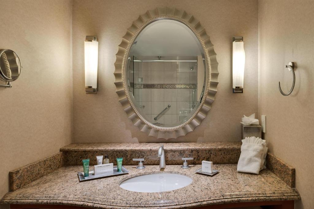 Hilton Washington Dulles Airport - 