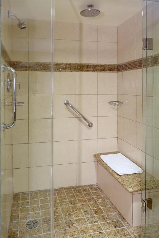 Hilton Washington Dulles Airport - 