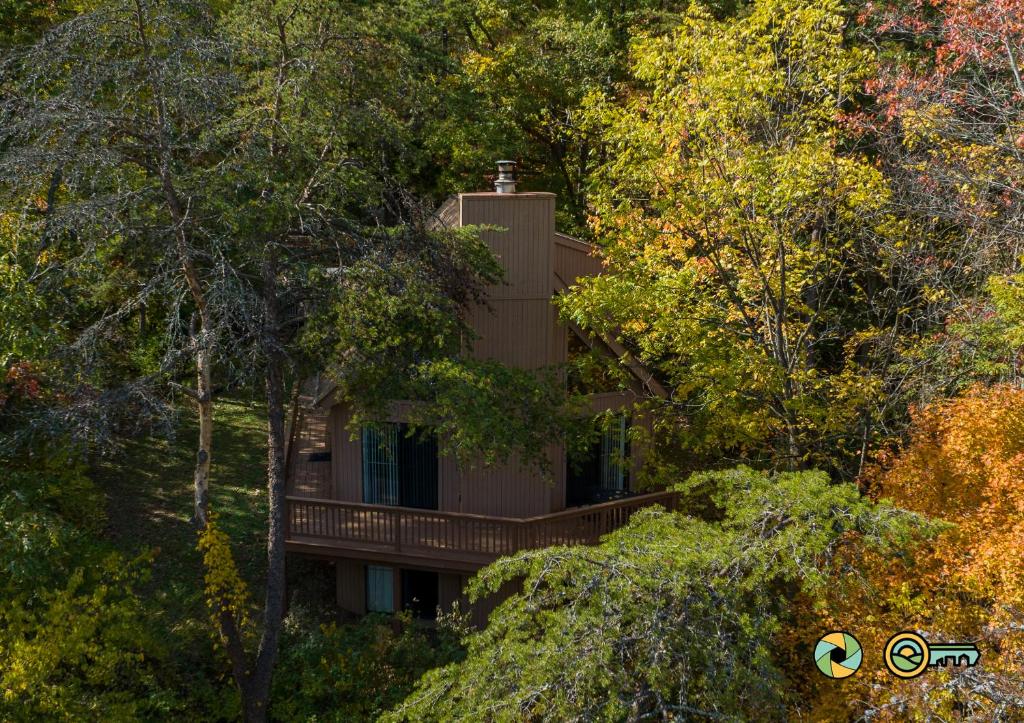 a house in the middle of the trees at Villa #119 in Basye