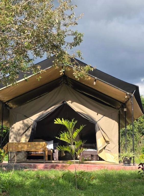 a black tent with a bench in the middle at SaitotiMara Safaris in Sekenani