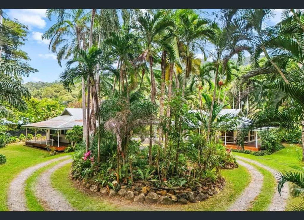 a house with palm trees and a dirt road at Enchanted Garden Escape in Mowbray