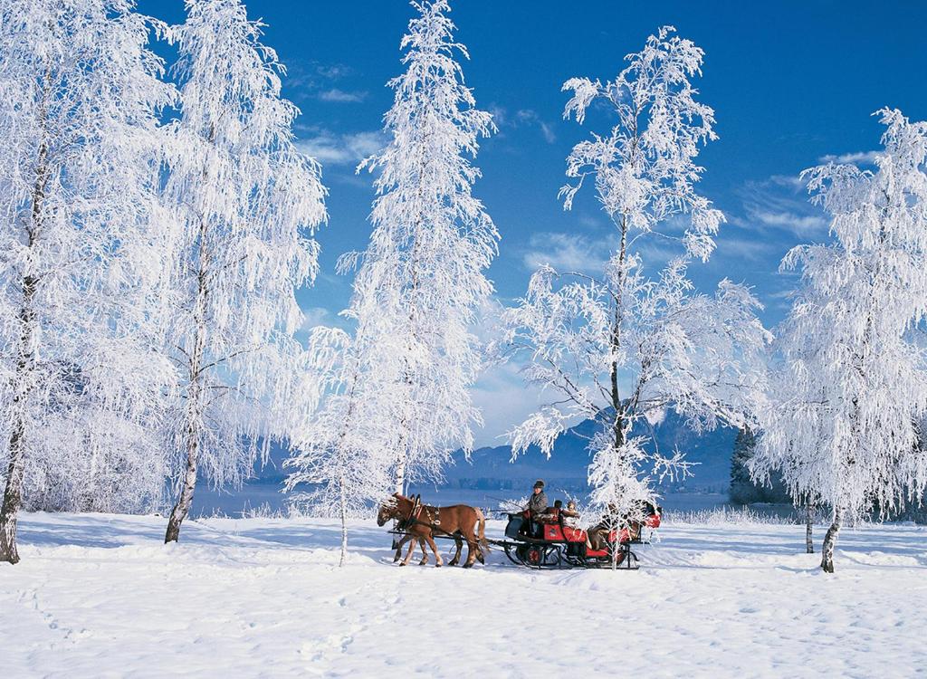 a person riding a horse drawn carriage in the snow at Pensiunea Bella Vita in Harghita-Băi