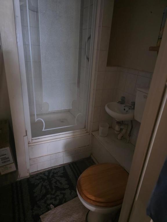 ein Badezimmer mit Dusche, Toilette und Waschbecken in der Unterkunft Reading Studio Flat in Caversham