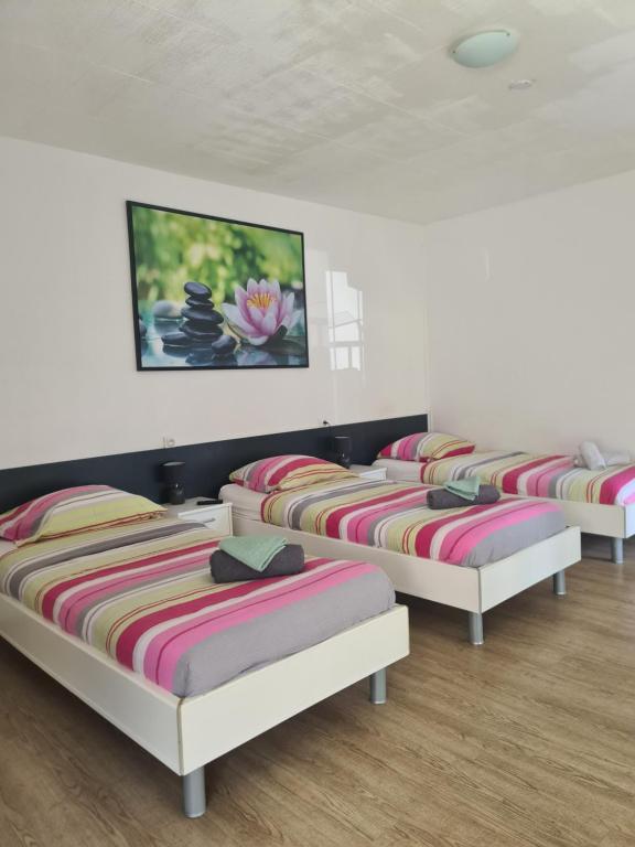 four beds lined up in a row in a room at Studio 3 lits in Saint-Louis
