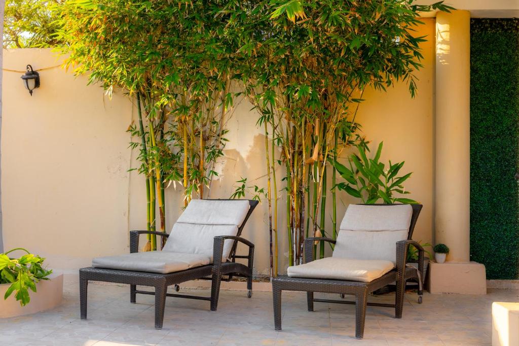 two chairs sitting next to a wall with trees at Departamento 1 Hab con Alberca, Gym y Terraza in Mérida