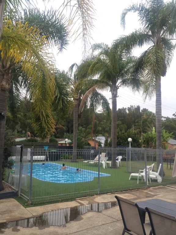 a pool with palm trees and people in it at Aquarius Holiday Apartments in Batemans Bay