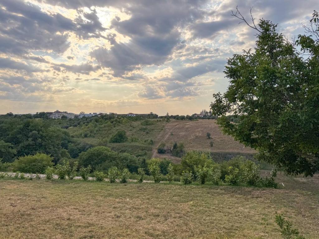 a field with trees on a hill with a cloudy sky at Allombra della quercia in Ortona