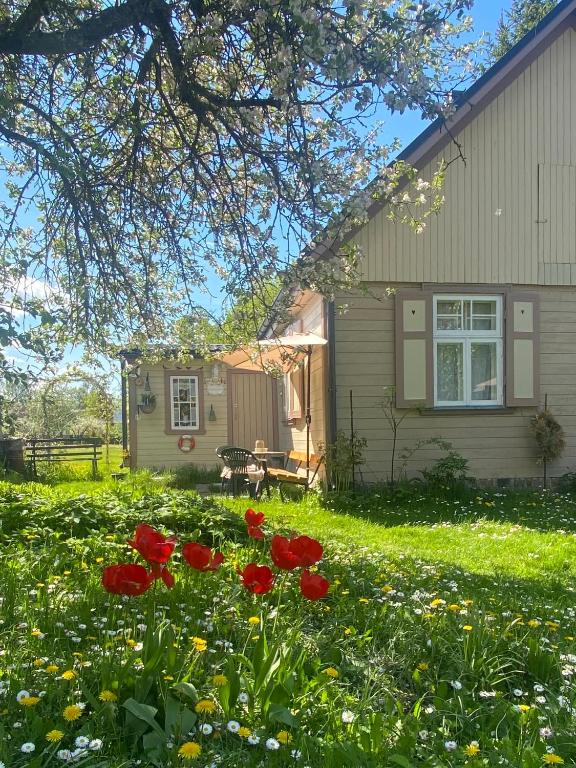 a house with red flowers in the yard at Bezvējš in Jūrmala