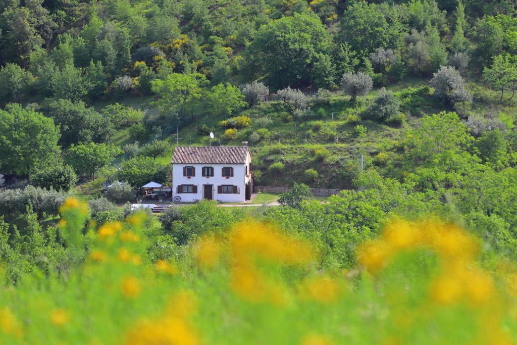 Podere le Serre - Housity