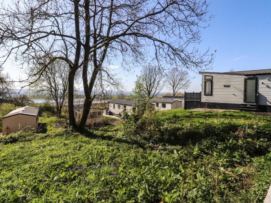 a house on a grassy hill with a tree at Beacon Fell Cottage 2 in Preston