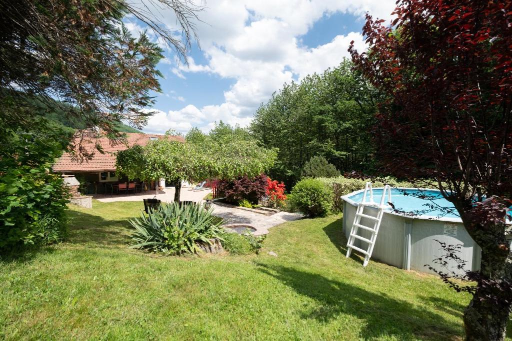 a yard with a ladder next to a pool at Chez Corinne in Cornimont