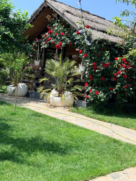 a house with red flowers and plants in front of it at Cabana Sorina in Corbu
