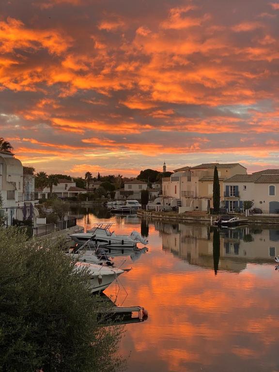 a group of boats docked in a marina at sunset at Marina with pool in Aigues-Mortes