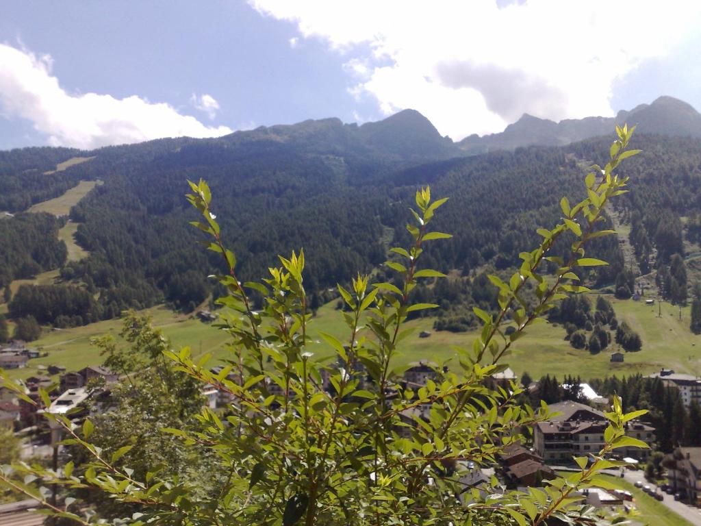 a view of a valley with trees and mountains at B & B Le Riue in Aprica