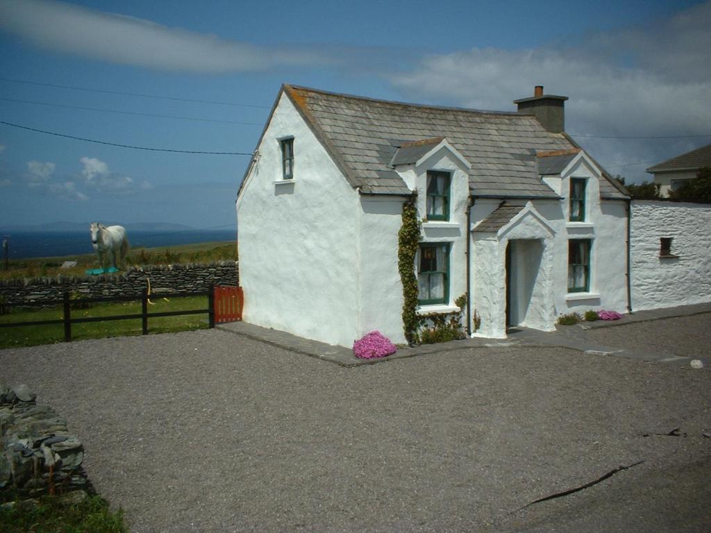 uma pequena casa branca com um cavalo ao fundo em Cul Cottage em Ilha de Valentia