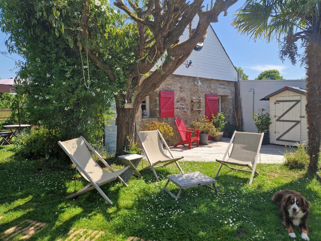 a group of chairs and a dog sitting in the grass at Les chambres du Keriolet in La Trinité-sur-Mer
