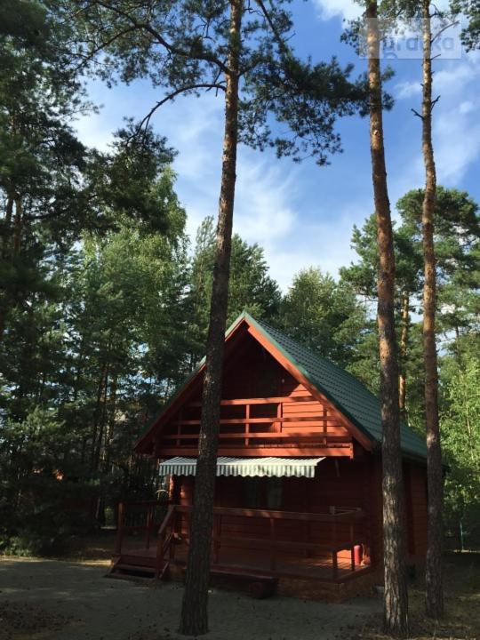 Gallery image of Domek Letniskowy Sosnowa Chatka in Pęczniew