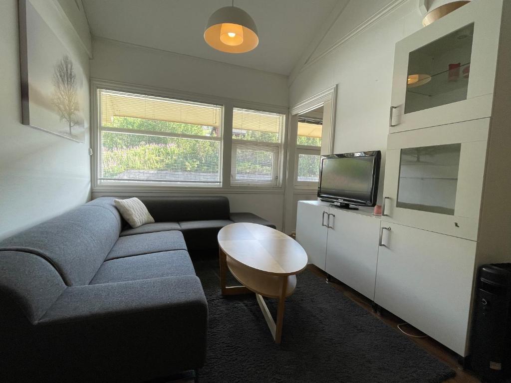 a living room with a couch and a table at Actif 305 Apartment by Ål Ski Center in Al