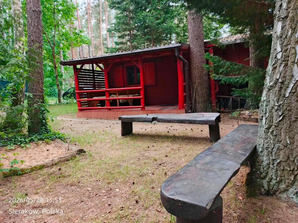 a red cabin with a bench next to a tree at Słowicza Chatka in Sieraków