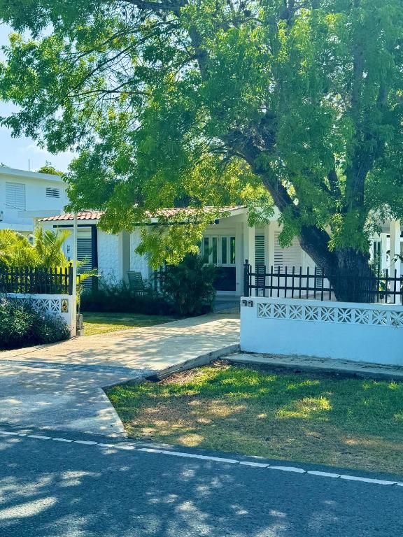 a house with a white fence and a tree at Villa del Carmen Boqueron in Cabo Rojo